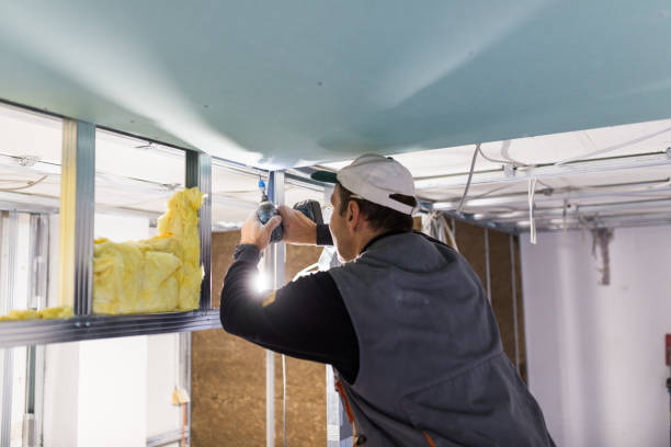 Best Local Insulation Services  in Elk Grove, CA